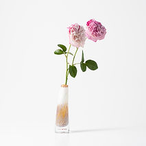 Grass | tistou-officialsite